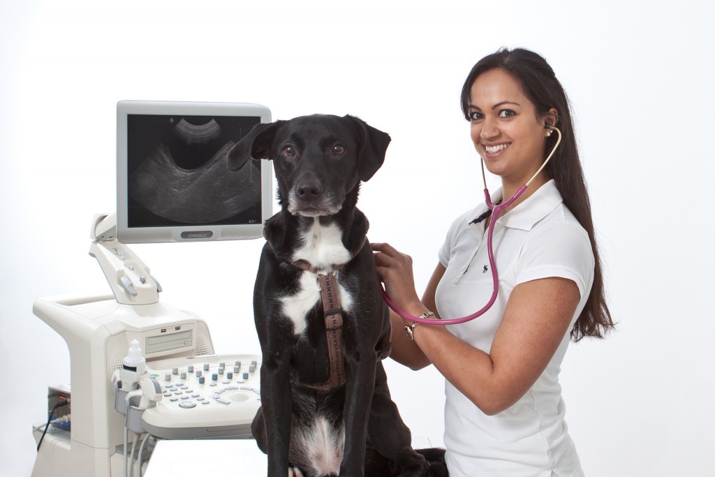 Tierarztpraxis Praterstern 1020