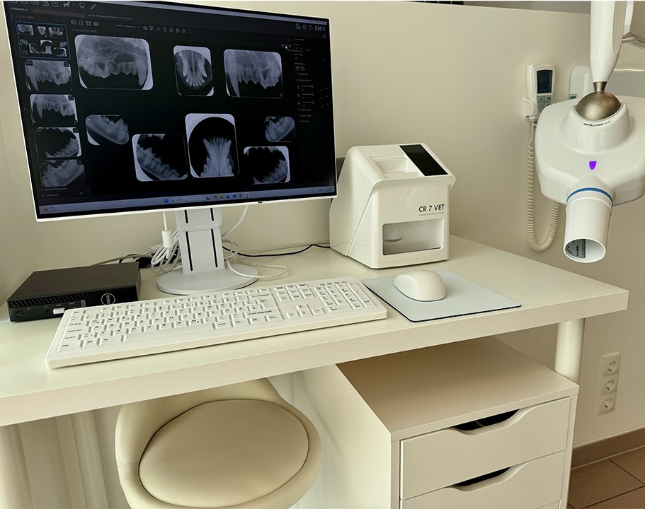 Zahnhygiene Tierarztpraxis Praterstern