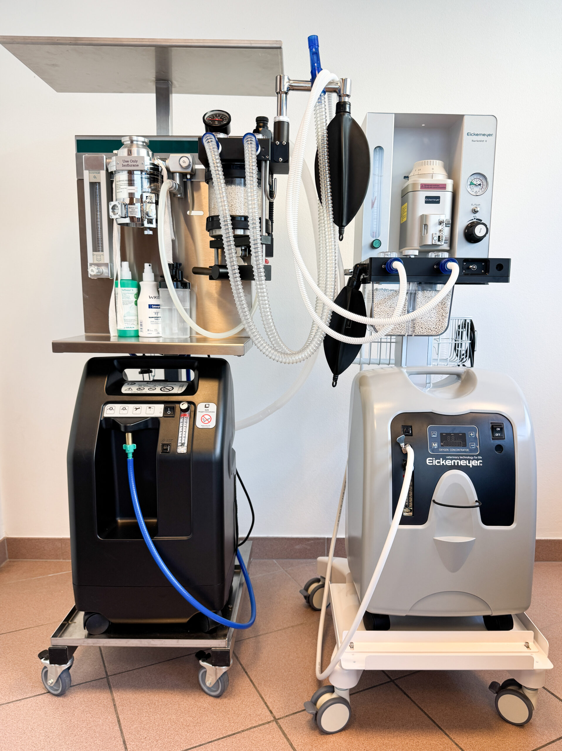 Impfungen Tierarztpraxis am Praterstern